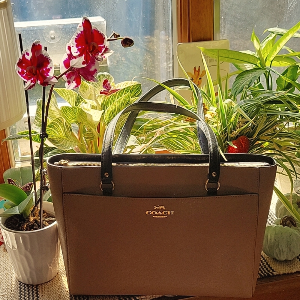 Coach bag